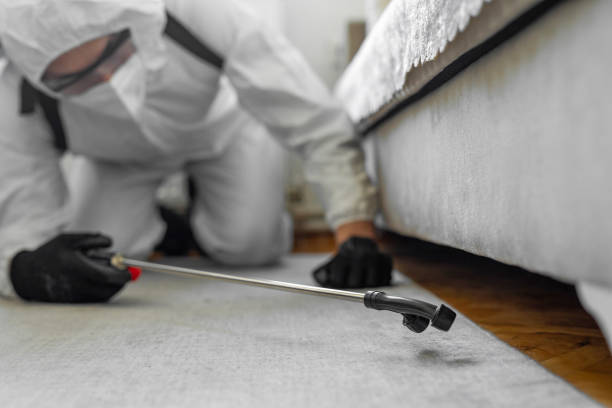 Professional Pest Control technician working in Christiana, TN